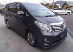 TOYOTA ALPHARD 2010 Gray