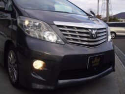 TOYOTA ALPHARD 2010 Gray
