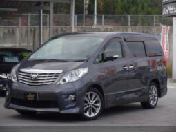 TOYOTA ALPHARD 2010 Gray