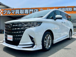 TOYOTA ALPHARD 2024 PEARL WHITE