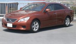 TOYOTA MARK X 2009 BROWN