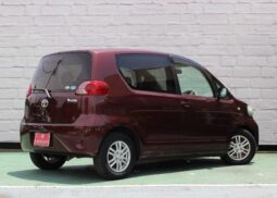 TOYOTA PORTE 2009 REDWINE