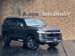 TOYOTA LAND CRUISER 2024 GRAY
