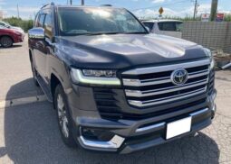 TOYOTA LAND CRUISER 2021 GRAY