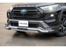 TOYOTA RAV4 2021 BLACK