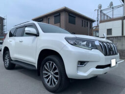 TOYOTA LAND CRUISER PRADO 2021 PEARL WHITE