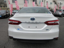 
										TOYOTA CAMRY 2019 PEARL WHITE full									