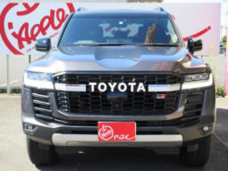 
										TOYOTA LAND CRUISER 2023 GRAY M full									