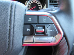 
										TOYOTA LAND CRUISER 2023 GRAY M full									