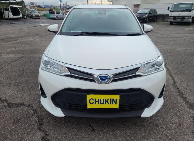 
								TOYOTA COROLLA AXIO 2019 WHITE full									