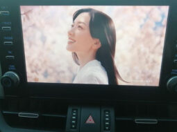 
										TOYOTA RAV4 PHV 2022 WHITE full									