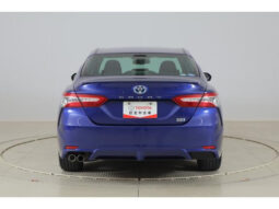TOYOTA CAMRY 2019 BLUE