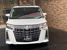 
										TOYOTA ALPHARD 2022 PEARL full									