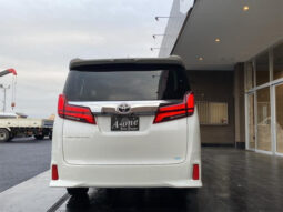 
										TOYOTA ALPHARD 2022 PEARL full									
