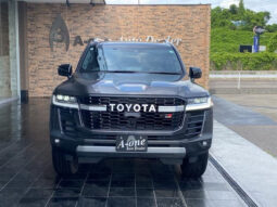 TOYOTA LAND CRUISER 2024 GRAY