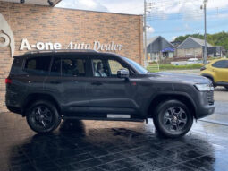 TOYOTA LAND CRUISER 2024 GRAY