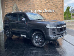 TOYOTA LAND CRUISER 2024 GRAY