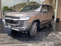 TOYOTA LAND CRUISER 2024 GRAY