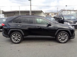 TOYOTA RAV4 2019 BLACK