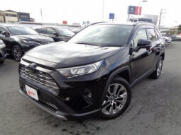TOYOTA RAV4 2019 BLACK