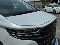 TOYOTA ALPHARD 2024 PEARL WHITE