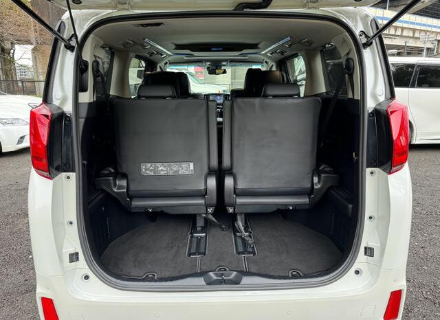 
								TOYOTA ALPHARD 2023 WHITE full									