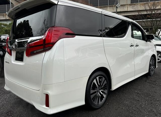 
								TOYOTA ALPHARD 2023 WHITE full									
