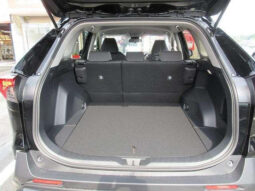 
										TOYOTA RAV4 2023 BLACK M full									
