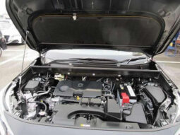 
										TOYOTA RAV4 2023 BLACK M full									
