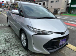 TOYOTA ESTIMA 2018 SILVER