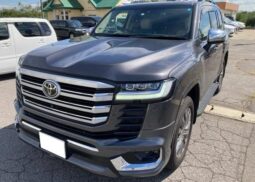 TOYOTA LAND CRUISER 2021 GRAY